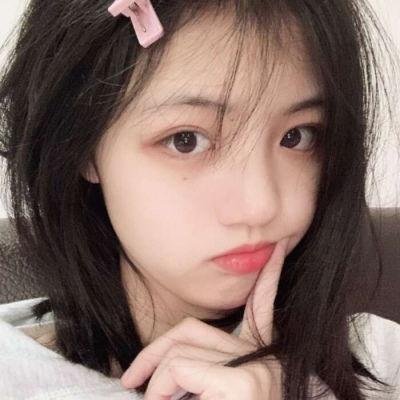 老鼠开会